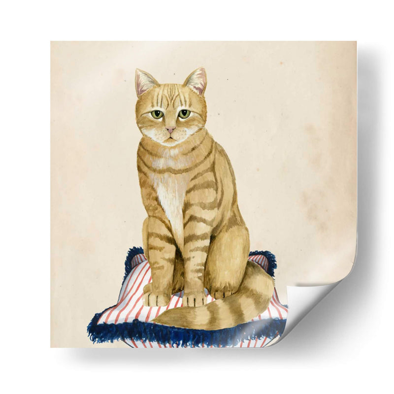 Lady Cat Iv - Grace Popp | Cuadro decorativo de Canvas Lab