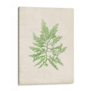 Peridot Seaweed Ii - Vision Studio | Cuadro decorativo de Canvas Lab