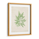 Peridot Seaweed Ii - Vision Studio | Cuadro decorativo de Canvas Lab