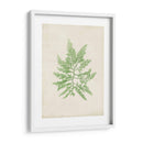 Peridot Seaweed Ii - Vision Studio | Cuadro decorativo de Canvas Lab