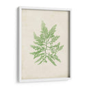 Peridot Seaweed Ii - Vision Studio | Cuadro decorativo de Canvas Lab