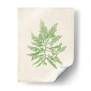 Peridot Seaweed Ii - Vision Studio | Cuadro decorativo de Canvas Lab