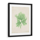 Peridot Seaweed Iii - Vision Studio | Cuadro decorativo de Canvas Lab