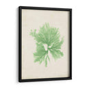Peridot Seaweed Iii - Vision Studio | Cuadro decorativo de Canvas Lab