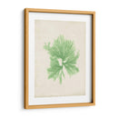 Peridot Seaweed Iii - Vision Studio | Cuadro decorativo de Canvas Lab