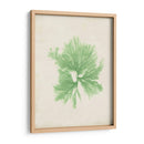 Peridot Seaweed Iii - Vision Studio | Cuadro decorativo de Canvas Lab