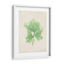 Peridot Seaweed Iii - Vision Studio | Cuadro decorativo de Canvas Lab
