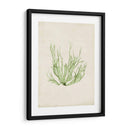 Peridot Seaweed Iv - Vision Studio | Cuadro decorativo de Canvas Lab