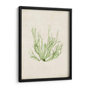 Peridot Seaweed Iv - Vision Studio | Cuadro decorativo de Canvas Lab