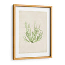 Peridot Seaweed Iv - Vision Studio | Cuadro decorativo de Canvas Lab