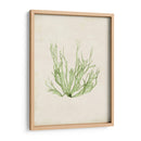 Peridot Seaweed Iv - Vision Studio | Cuadro decorativo de Canvas Lab