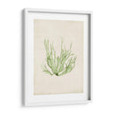Peridot Seaweed Iv - Vision Studio | Cuadro decorativo de Canvas Lab