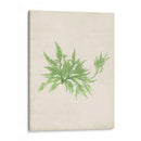 Peridot Seaweed V - Vision Studio | Cuadro decorativo de Canvas Lab