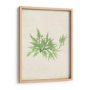 Peridot Seaweed V - Vision Studio | Cuadro decorativo de Canvas Lab