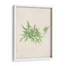 Peridot Seaweed V - Vision Studio | Cuadro decorativo de Canvas Lab