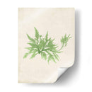 Peridot Seaweed V - Vision Studio | Cuadro decorativo de Canvas Lab