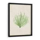 Peridot Seaweed Vi - Vision Studio | Cuadro decorativo de Canvas Lab