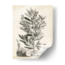 Paisaje Botánico Vi - Abraham Munting | Cuadro decorativo de Canvas Lab