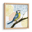 Mandala Pájaro I - Grace Popp | Cuadro decorativo de Canvas Lab