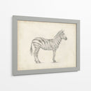 Boceto De Cebra - Ethan Harper | Cuadro decorativo de Canvas Lab
