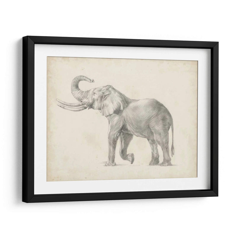 Bosquejo De Elefante I - Ethan Harper | Cuadro decorativo de Canvas Lab