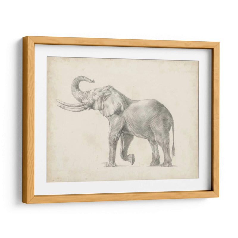 Bosquejo De Elefante I - Ethan Harper | Cuadro decorativo de Canvas Lab