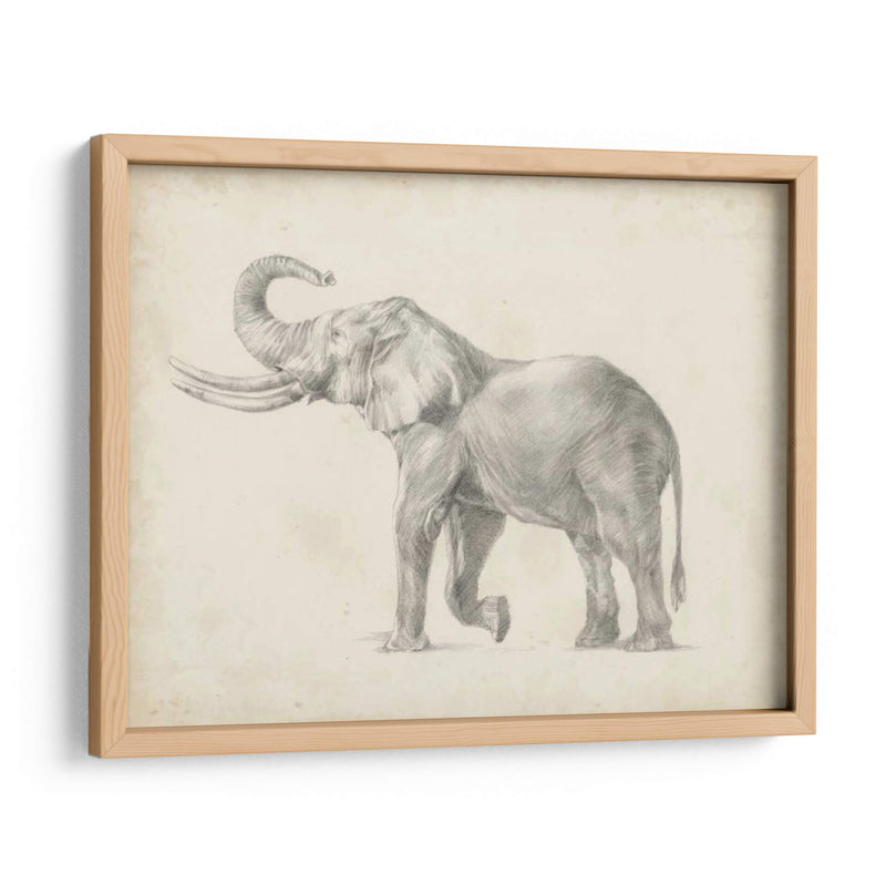 Bosquejo De Elefante I - Ethan Harper | Cuadro decorativo de Canvas Lab