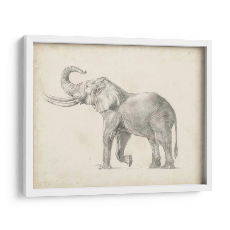 Bosquejo De Elefante I - Ethan Harper | Cuadro decorativo de Canvas Lab