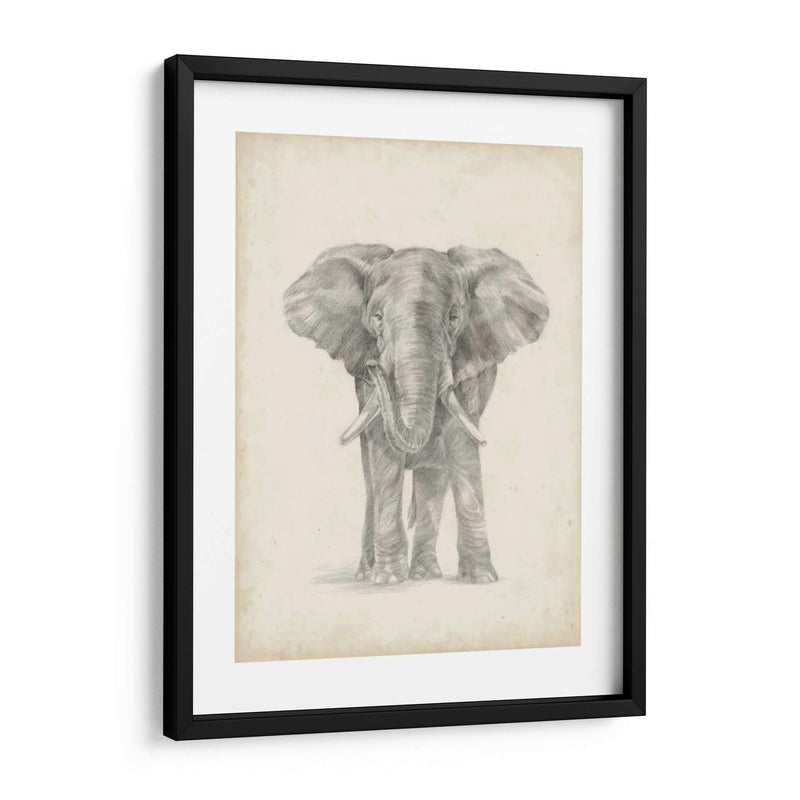 Bosquejo De Elefante Ii - Ethan Harper | Cuadro decorativo de Canvas Lab