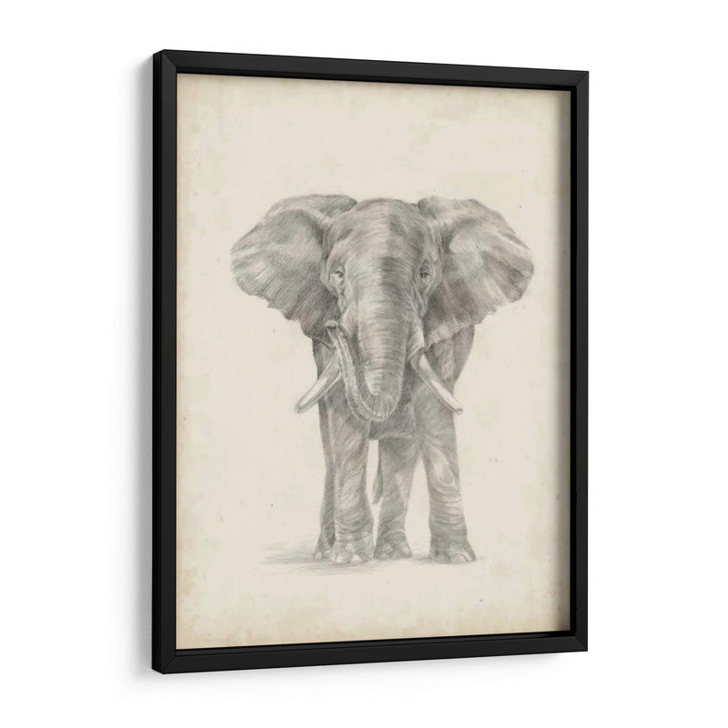 Bosquejo De Elefante Ii - Ethan Harper | Cuadro decorativo de Canvas Lab