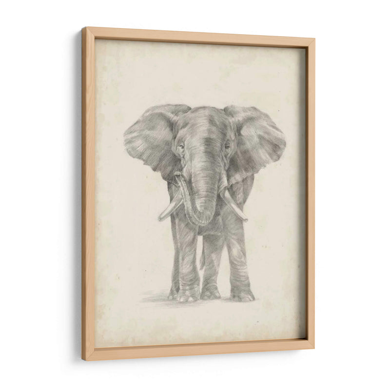 Bosquejo De Elefante Ii - Ethan Harper | Cuadro decorativo de Canvas Lab