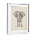 Bosquejo De Elefante Ii - Ethan Harper | Cuadro decorativo de Canvas Lab