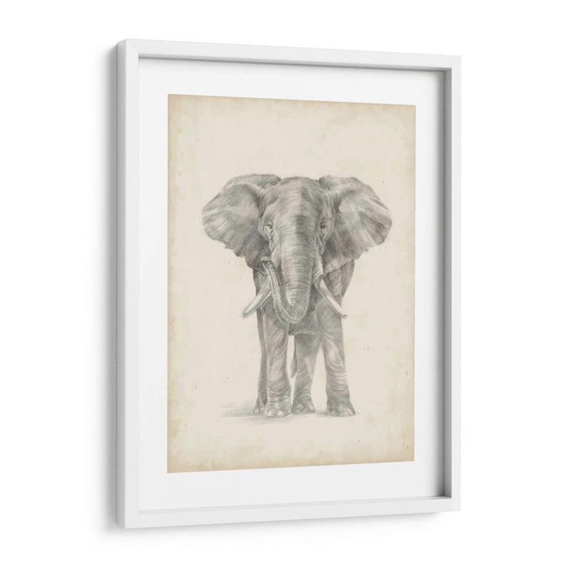 Bosquejo De Elefante Ii - Ethan Harper | Cuadro decorativo de Canvas Lab