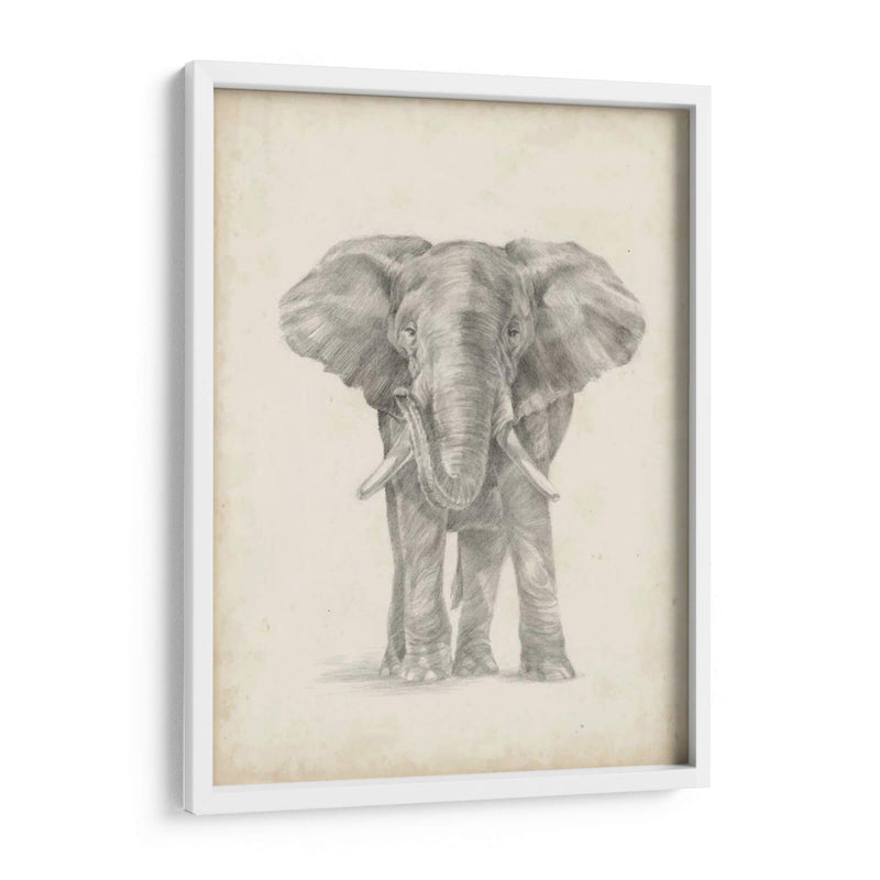 Bosquejo De Elefante Ii - Ethan Harper | Cuadro decorativo de Canvas Lab