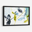 Jardín Colgante Ii - Jennifer Goldberger | Cuadro decorativo de Canvas Lab