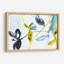 Jardín Colgante Ii - Jennifer Goldberger | Cuadro decorativo de Canvas Lab