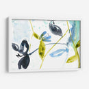 Jardín Colgante Ii - Jennifer Goldberger | Cuadro decorativo de Canvas Lab