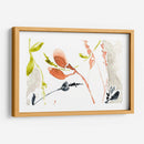 Coral Y Marina I - Jennifer Goldberger | Cuadro decorativo de Canvas Lab