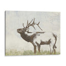 Llamada Salvaje I - Jennifer Goldberger | Cuadro decorativo de Canvas Lab