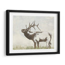 Llamada Salvaje I - Jennifer Goldberger | Cuadro decorativo de Canvas Lab