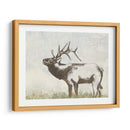 Llamada Salvaje I - Jennifer Goldberger | Cuadro decorativo de Canvas Lab