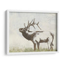 Llamada Salvaje I - Jennifer Goldberger | Cuadro decorativo de Canvas Lab