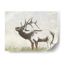 Llamada Salvaje I - Jennifer Goldberger | Cuadro decorativo de Canvas Lab