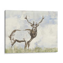 Llamada Salvaje Ii - Jennifer Goldberger | Cuadro decorativo de Canvas Lab