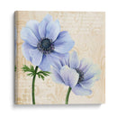 Elegante Anémona Ii - Grace Popp | Cuadro decorativo de Canvas Lab