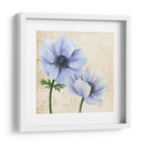 Elegante Anémona Ii - Grace Popp | Cuadro decorativo de Canvas Lab