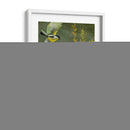 Pájaro Ii - Chariklia Zarris | Cuadro decorativo de Canvas Lab