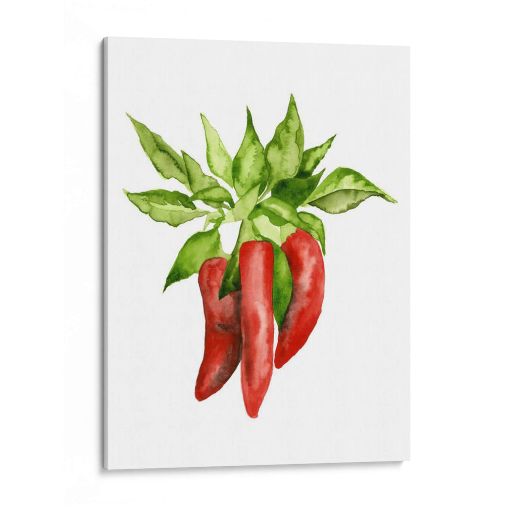 Acuarela Veggie Ii - Naomi McCavitt | Cuadro decorativo de Canvas Lab