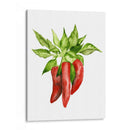 Acuarela Veggie Ii - Naomi McCavitt | Cuadro decorativo de Canvas Lab