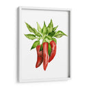 Acuarela Veggie Ii - Naomi McCavitt | Cuadro decorativo de Canvas Lab